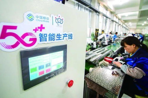 金華工業經濟跑出加速度，網絡技術服務指標全省第一