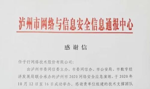 任子行網絡技術股份 以技術創新驅動，引領網絡服務新篇章